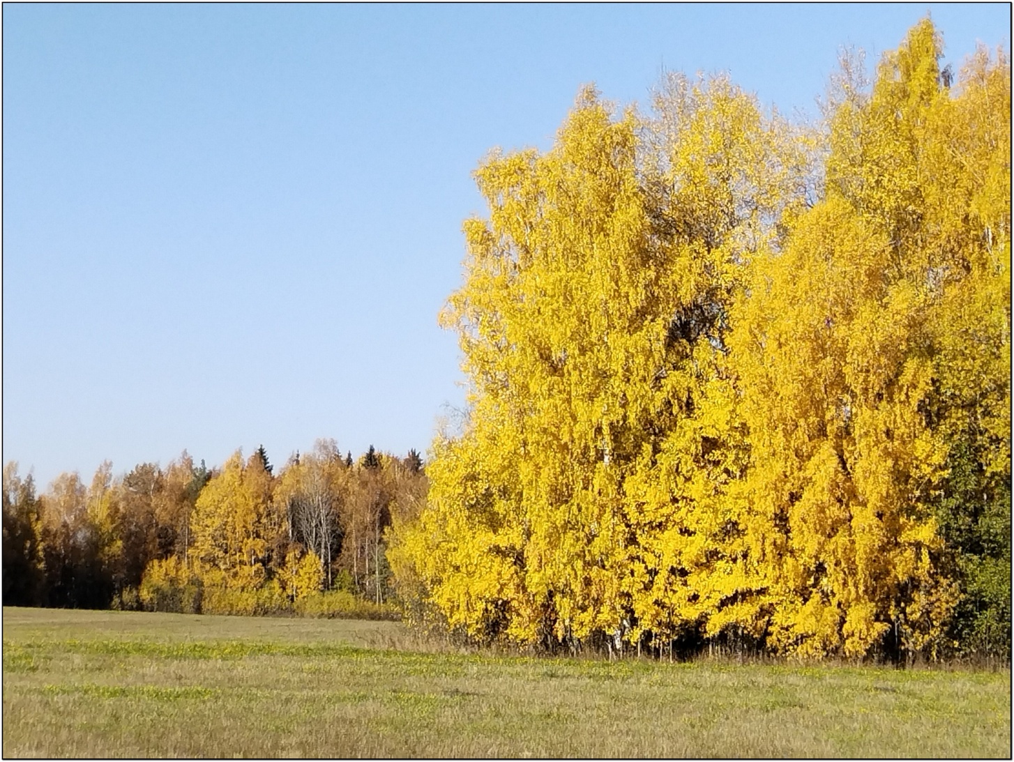 Недалеко от Галича