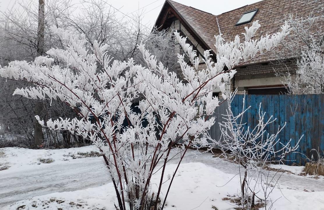 Зимние чудеса. Пос.Малышково 