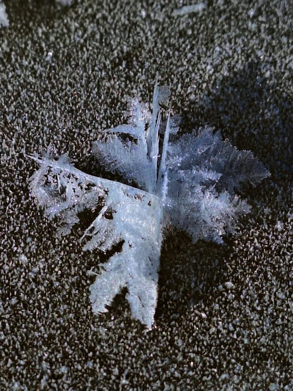 Ледяные розы 3. пос.Прибрежный