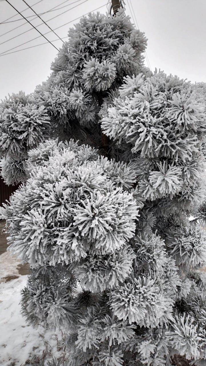 Февраль 2025 г.