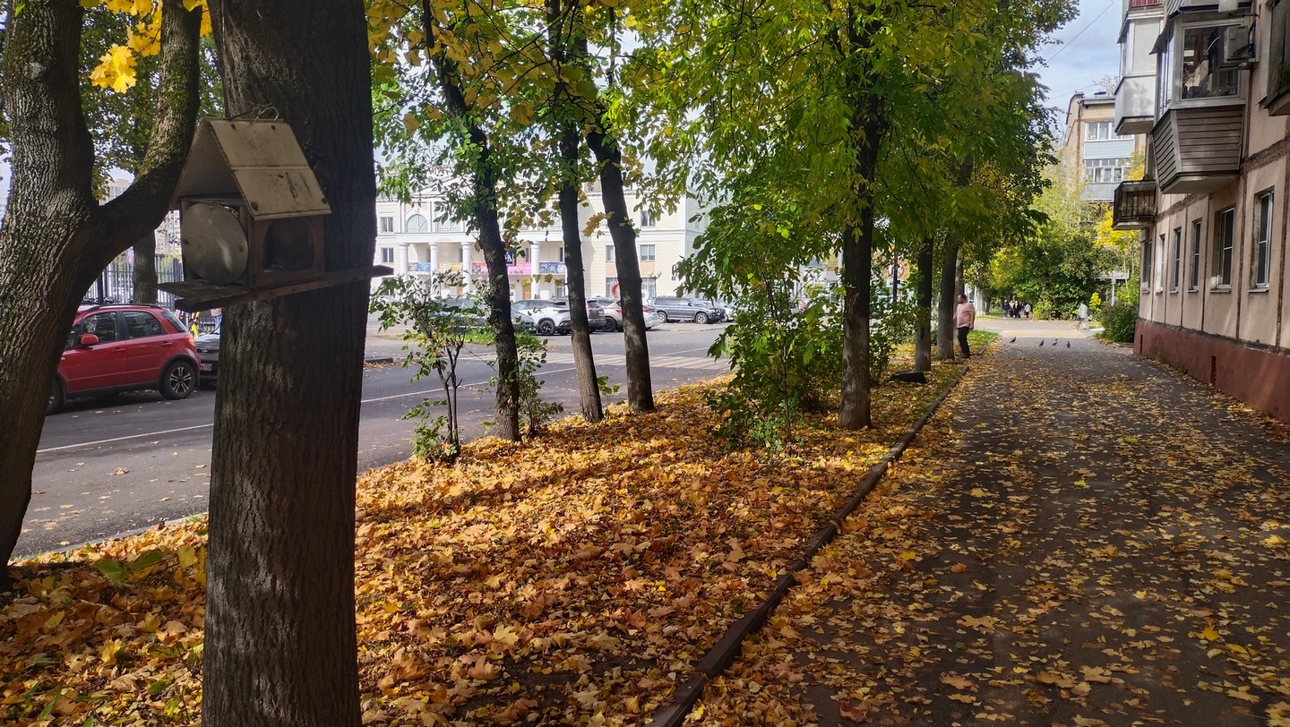 Сентябрь в Долгопрудном