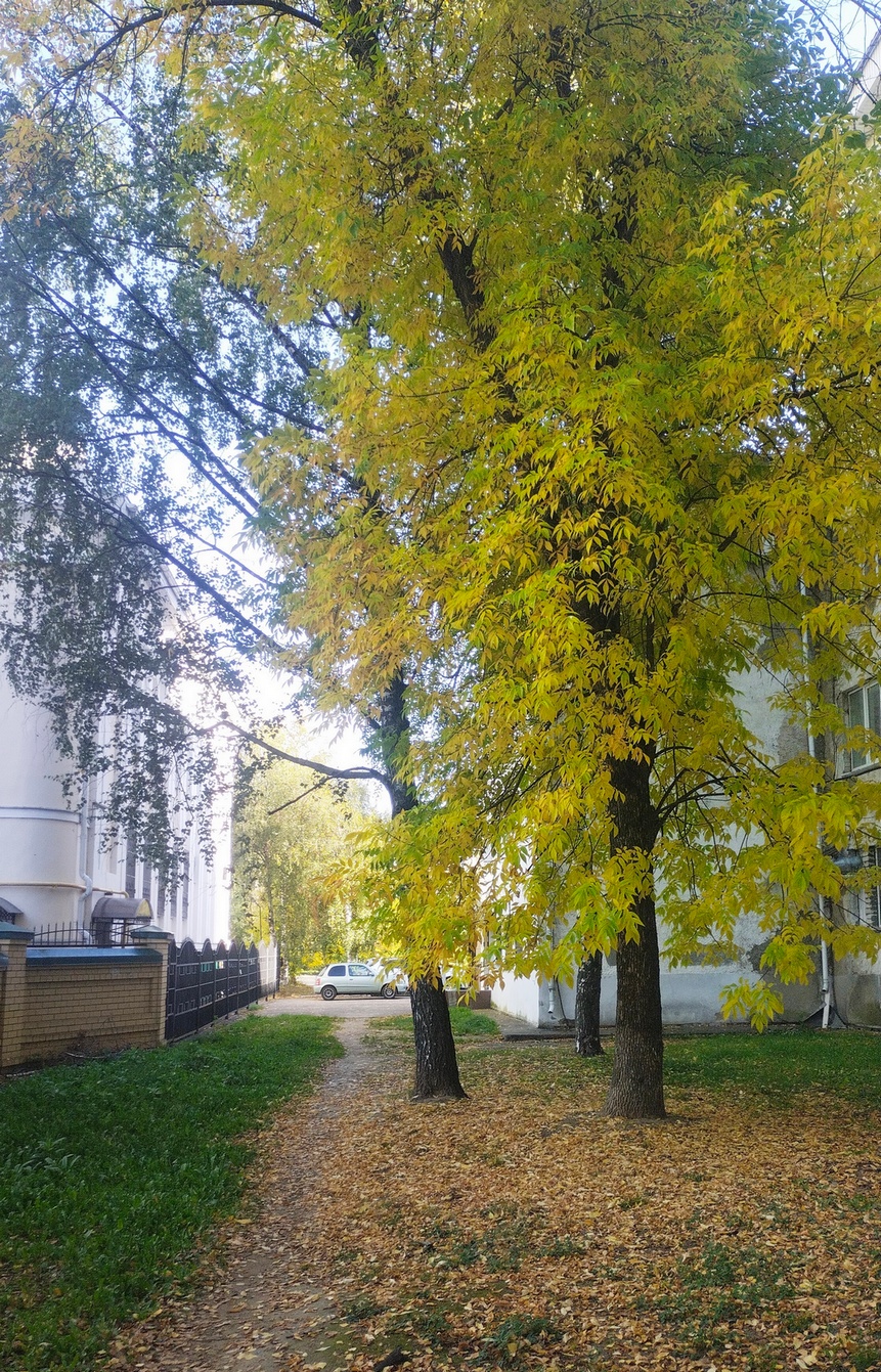Кострома
